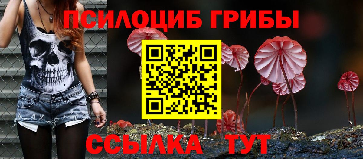 Иркутск  Псилоцибиновые грибы GOLDEN TEACHER  Вход с VPN 